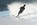monoski marseille provence école de ski nautique saint cyr sur mer